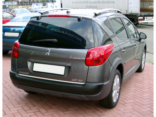 Fascia per bagagliaio cromata Peugeot 206 SW Peugeot 207 93073SW 0105