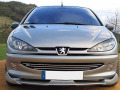 Baguette de calandre chromée pour Peugeot 206 Peugeot 206 CC Peugeot 206 SW