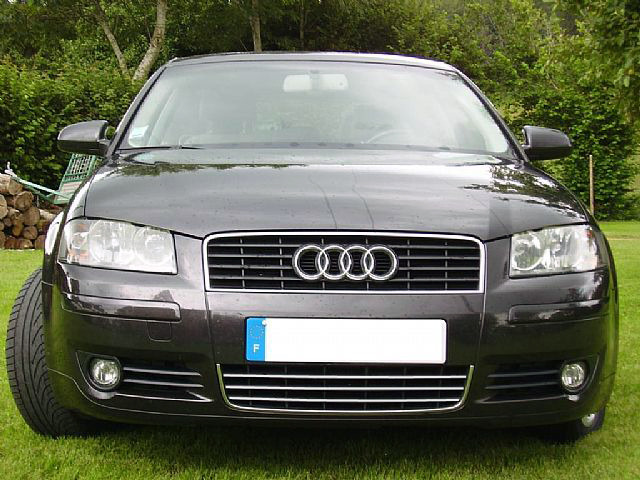 Baguette de calandre inférieure chromée pour Audi A4 série 1 9498série 2 0004 RS4 0001 S4 0308 