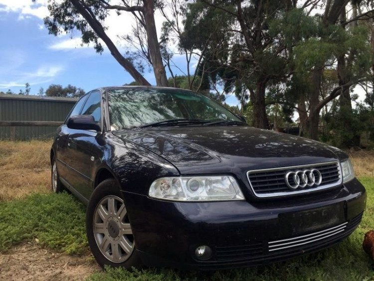 Baguette de calandre inférieure chromée pour Audi A4 série 1 phase 2 99-00