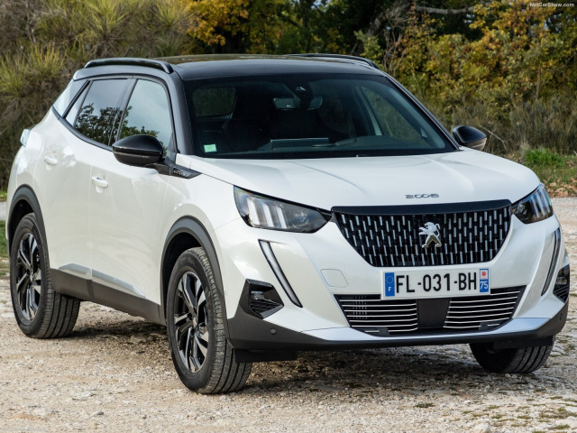 Chromleiste für Kühlergrill Peugeot 2008 1926