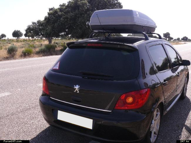 Fascia per bagagliaio cromata Peugeot 106 107 108 205 206 306 307 308 406 407 806 807 1007 3008 4007