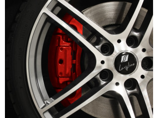 Painting kit for brake calipers