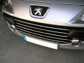 Radiator grill chrome trim compatible with Peugeot 307 05-09 Peugeot 307 CC 05-09 Peugeot 307 SW 05-