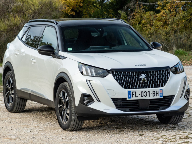 ZierChromleiste für Nebelscheinwerfer Peugeot 2008 1925