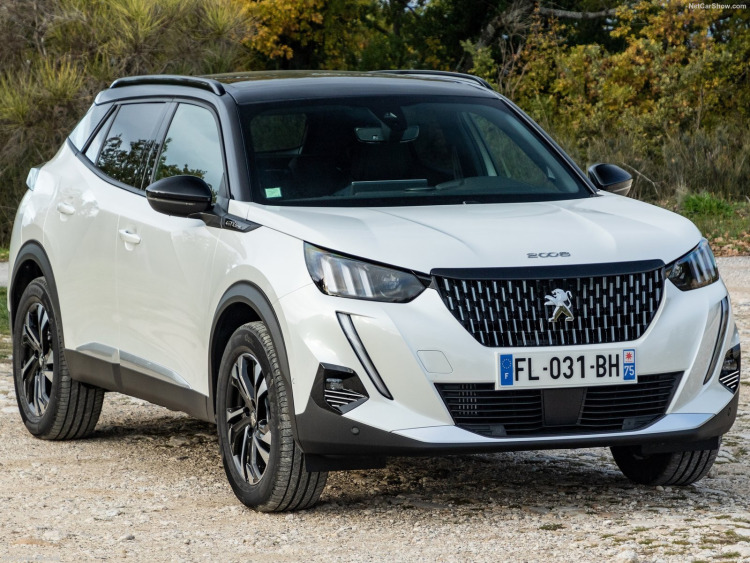 Zier-Chromleiste für Nebelscheinwerfer Peugeot 2008 19-25